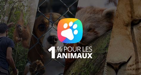 zolux news|Zolux News .